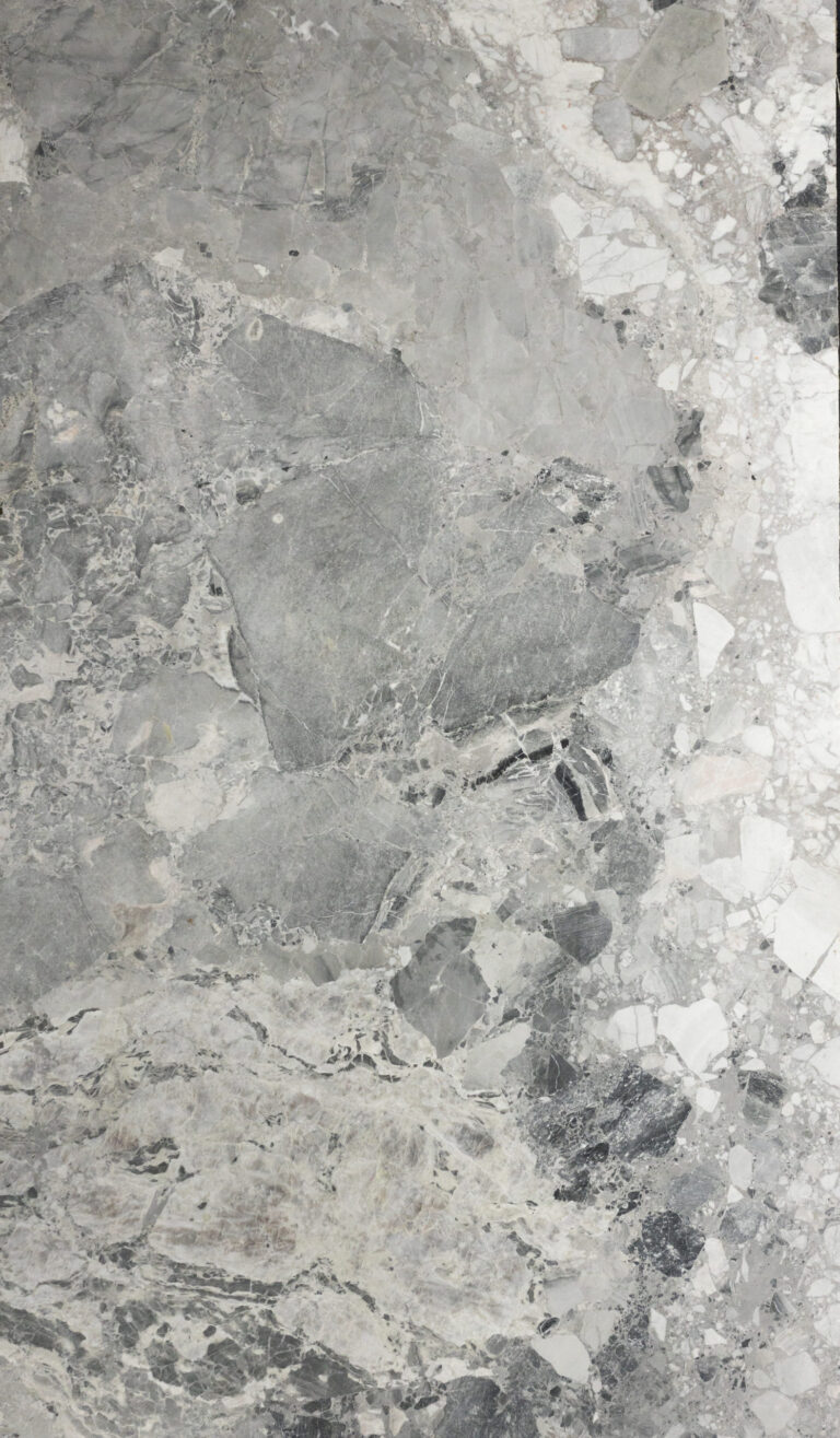 FOSSIL